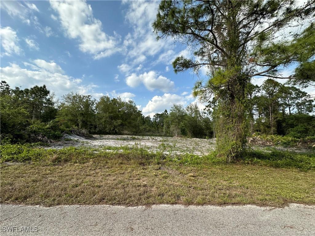1223 Randletree St E, Lehigh Acres, FL 33974
