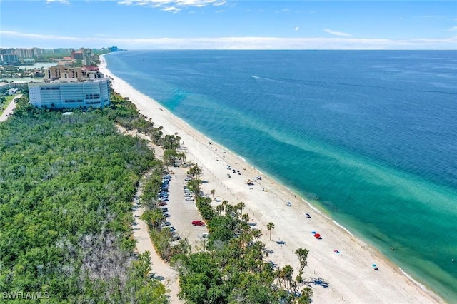 10562 Gulf Shore Dr Unit 402, Naples, FL 34108 - aerial view of expansive coastline