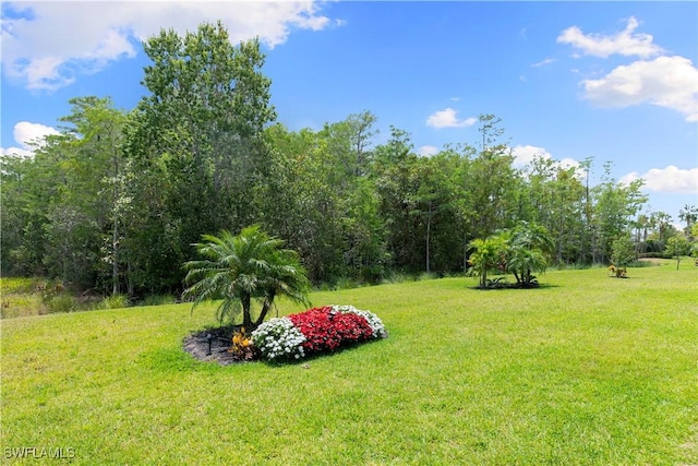 28648 Lobos Cir, Bonita Springs, FL 34135 - view of grassy yard