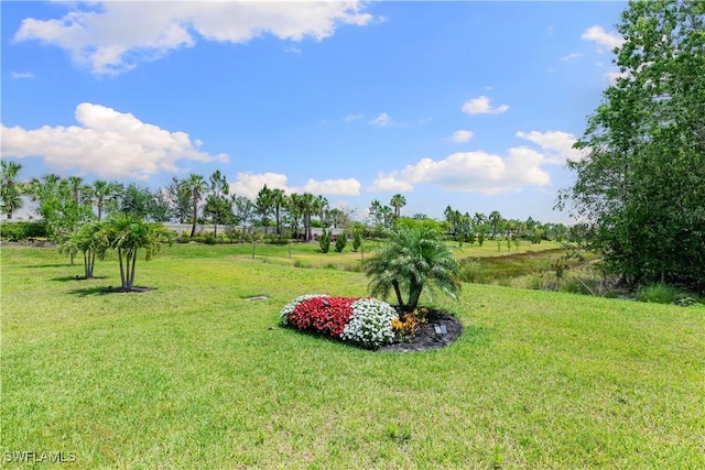 28648 Lobos Cir, Bonita Springs, FL 34135 - view of grassy yard