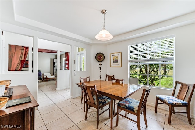 4665 47th Ave NE, Naples, FL 34120 - dining room featuring a tray ceiling, light tile patterned floors, healthy amount of natural light, and baseboards