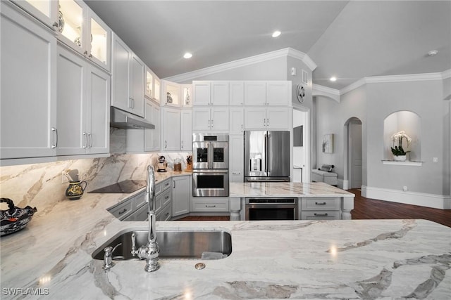 10340 Vanderbilt Dr, Naples, FL 34108 - kitchen with stainless steel appliances, under cabinet range hood, a sink, light stone countertops, and backsplash