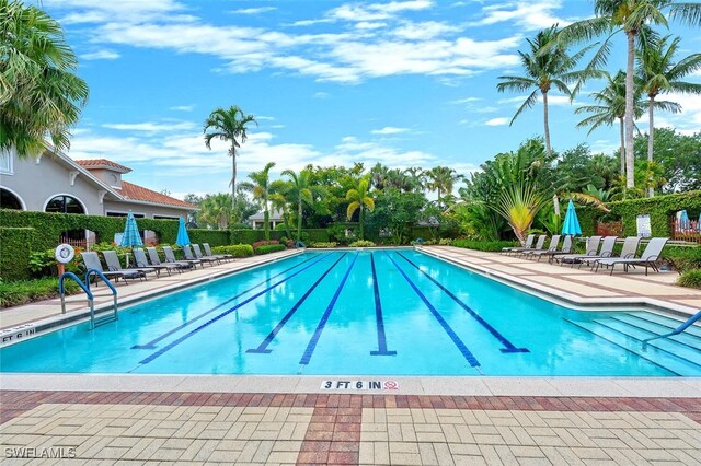 28686 San Galgano Way, Bonita Springs, FL 34135 - community pool with a patio