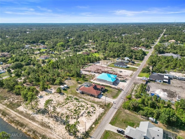 718 Willard Ave, Lehigh Acres, FL 33972 - aerial view of a forest