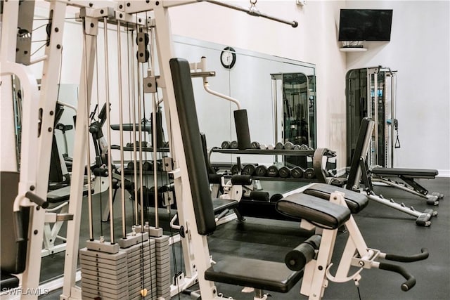6481 Aragon Way Unit 205, Fort Myers, FL 33966 - view of gym