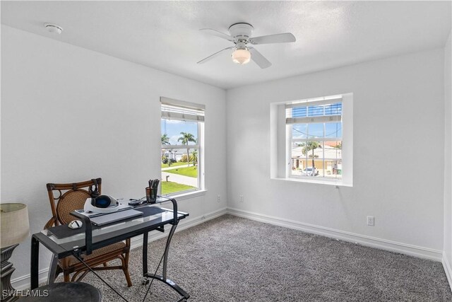 3101 SW 26th Pl, Cape Coral, FL 33914 - photo 36