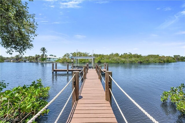 4111 Harbor Oaks Ct, Bonita Springs, FL 34134 - dock with boat lift and a water view