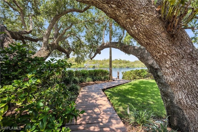 4111 Harbor Oaks Ct, Bonita Springs, FL 34134 - view of grassy yard featuring a water view and a boat dock