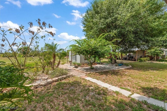 13951 Rod And Gun Club Rd, Fort Myers, FL 33913 - view of green lawn