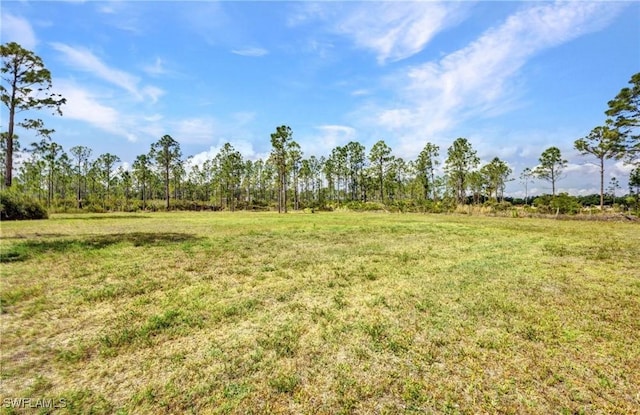 6405 Alan Blvd, Punta Gorda, FL 33982 - view of green lawn