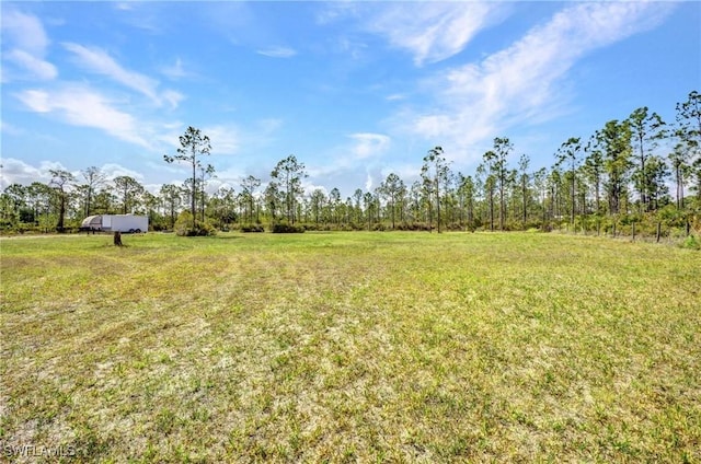 6405 Alan Blvd, Punta Gorda, FL 33982 - view of green lawn