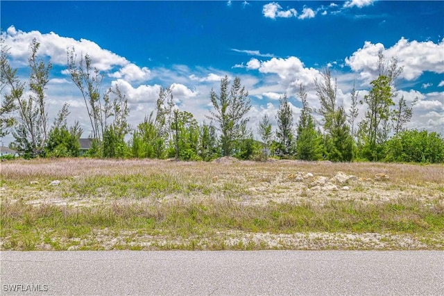 1819 NW 21st Pl, Cape Coral, FL 33993 - photo 1
