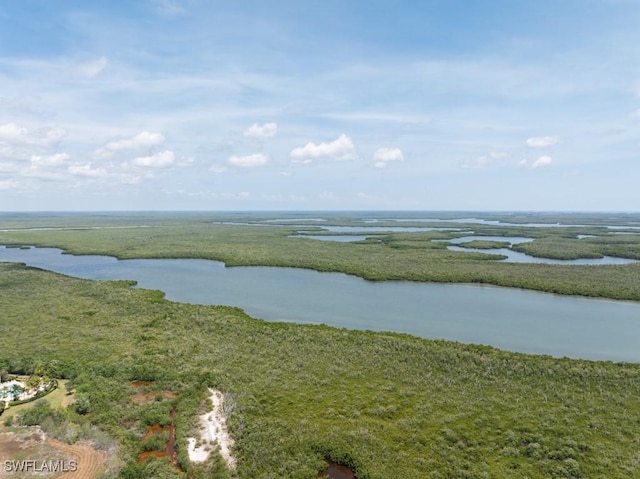 1050 Borghese Ln Unit 1101, Naples, FL 34114 - bird's eye view of a large body of water