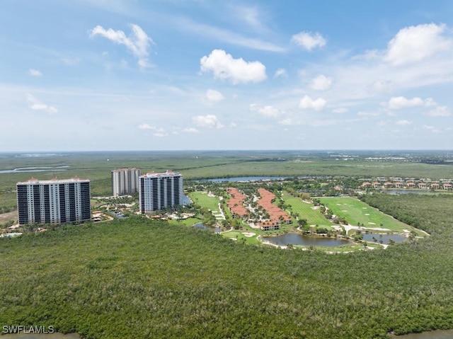 1050 Borghese Ln Unit 1101, Naples, FL 34114 - aerial view of a large body of water