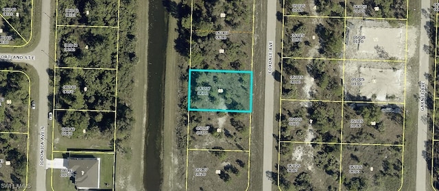 905 Foxdale Ave, Lehigh Acres, FL 33974