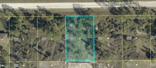 932 Dempsey St, Lehigh Acres, FL 33974