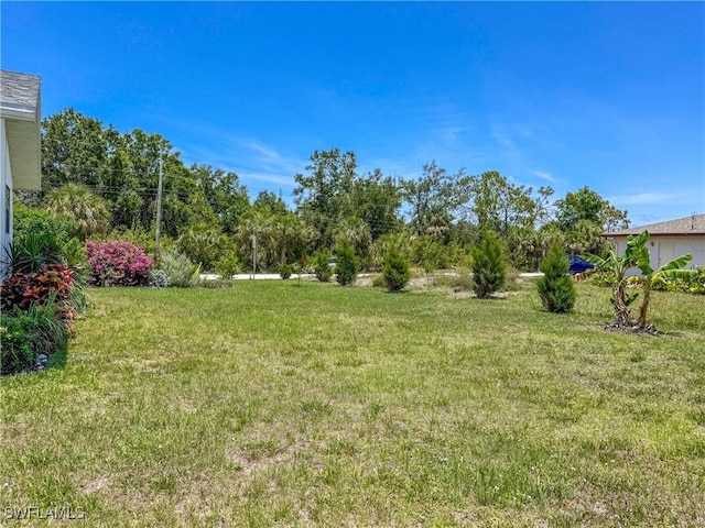 7690 Castleberry Ter, Englewood, FL 34224 - view of green lawn