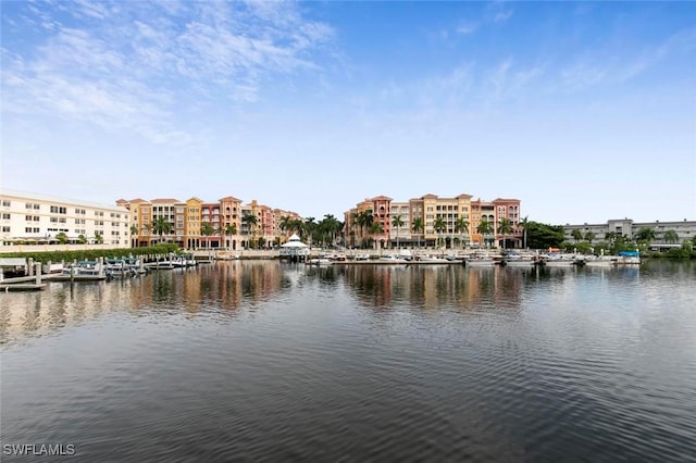 900 8th Ave S Unit 102, Naples, FL 34102 - water view featuring a boat dock