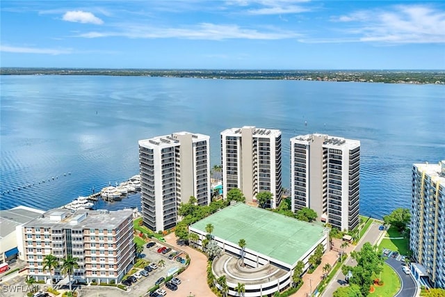 1920 Virginia Ave Unit 1602, Fort Myers, FL 33901 - photo 46