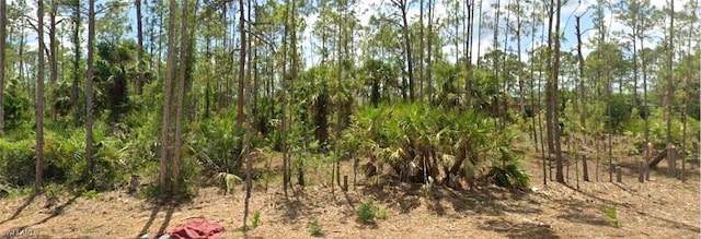 1857 Octavia St, Lehigh Acres, FL 33972