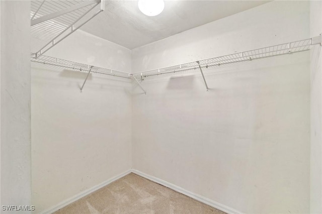 25941 Pebblecreek Dr, Bonita Springs, FL 34135 - spacious closet featuring carpet flooring