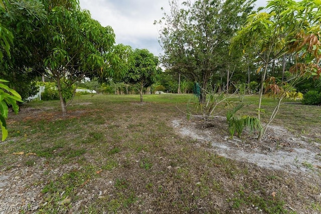 2140 8th St NE, Naples, FL 34120 - view of yard