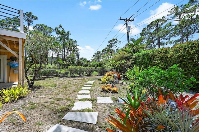 4680 Key Largo Ln, Bonita Springs, FL 34134 - view of yard