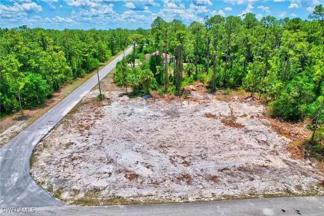 2123 Jefferson Ave, Alva, FL 33920 - photo 3