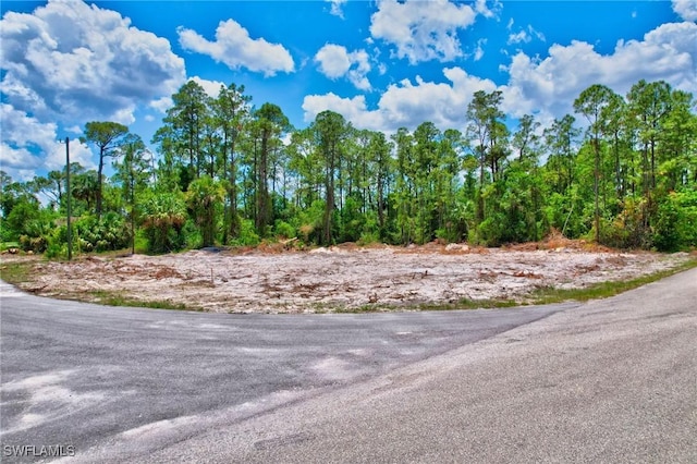 2123 Jefferson Ave, Alva, FL 33920 - photo 4
