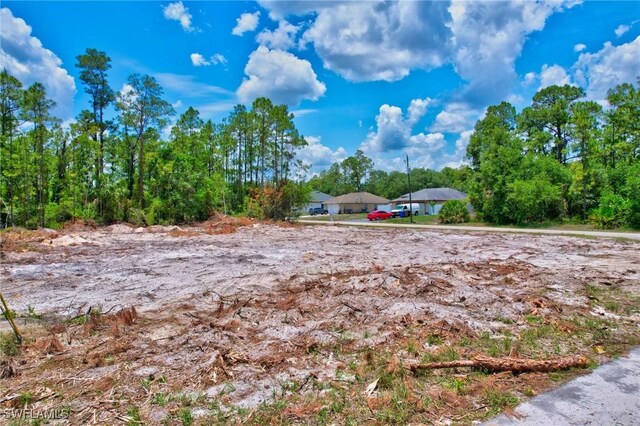2123 Jefferson Ave, Alva, FL 33920 - photo 5