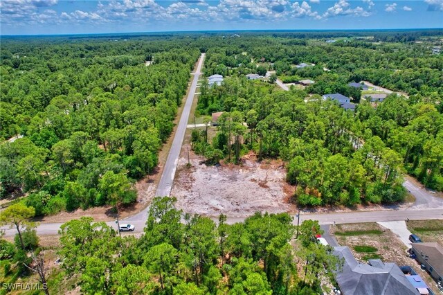 2123 Jefferson Ave, Alva, FL 33920 - photo 9
