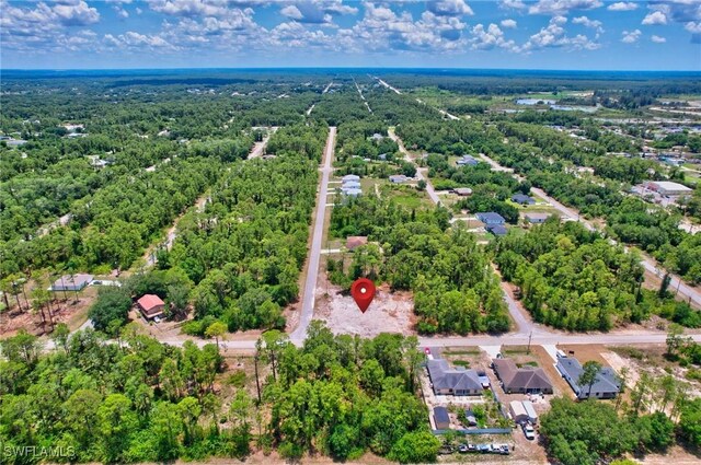 2123 Jefferson Ave, Alva, FL 33920 - photo 10