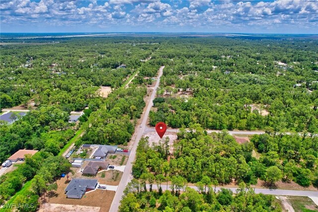 2123 Jefferson Ave, Alva, FL 33920 - photo 11