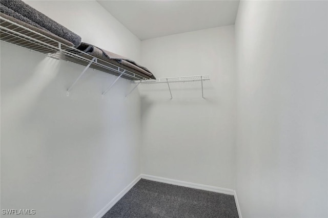 1717 43rd St SW, Naples, FL 34116 - walk in closet featuring dark carpet
