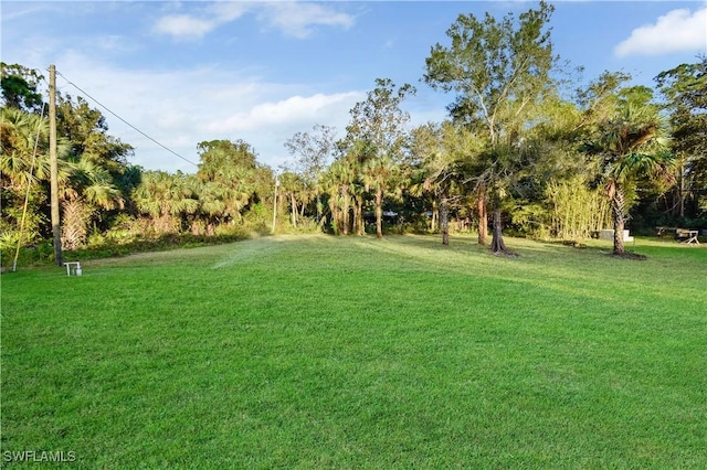 618 Sheldon Ave, Lehigh Acres, FL 33936 - view of green lawn