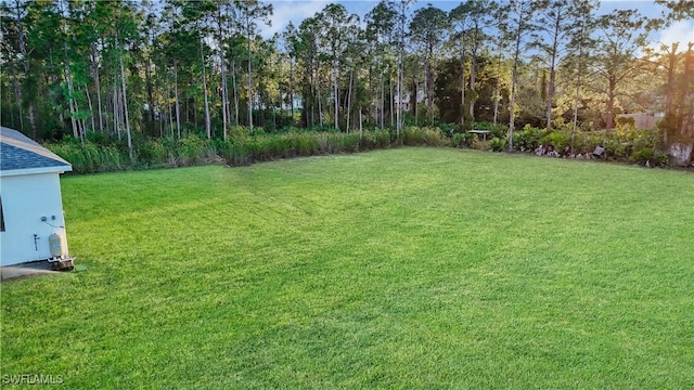 902 Magnolia Ave, Lehigh Acres, FL 33972 - view of green lawn