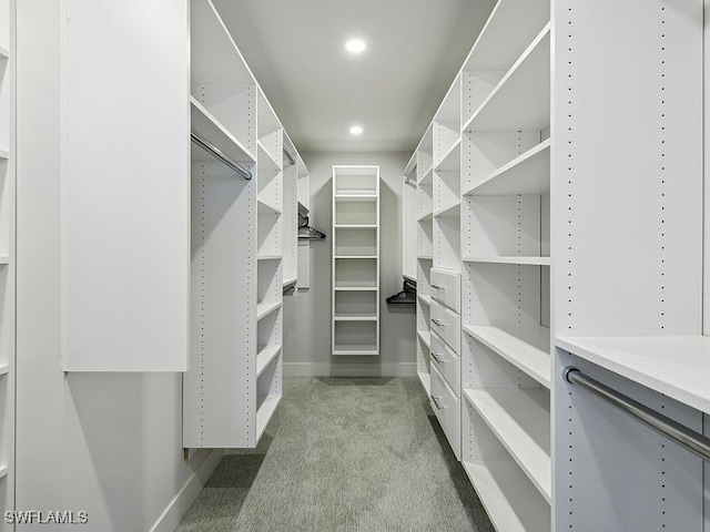 3951 Gulf Shore Blvd N Unit 1005, Naples, FL 34103 - walk in closet featuring carpet floors