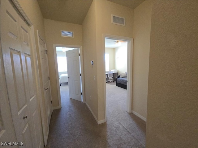 8874 Via Isola Ct, Fort Myers, FL 33966 - hallway with carpet floors and baseboards