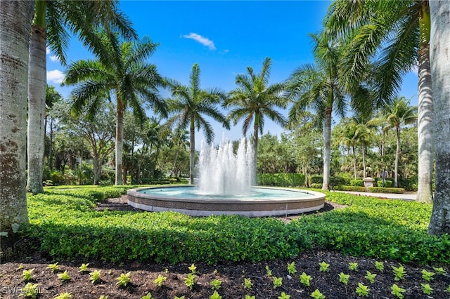1630 Tarpon Bay Dr S Unit 102, Naples, FL 34119 - view of home's community with view of scattered trees
