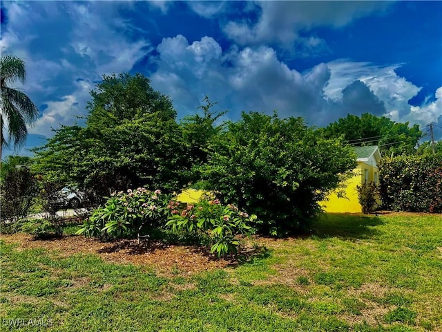 118 Alcala Ave, Lehigh Acres, FL 33936 - view of green lawn