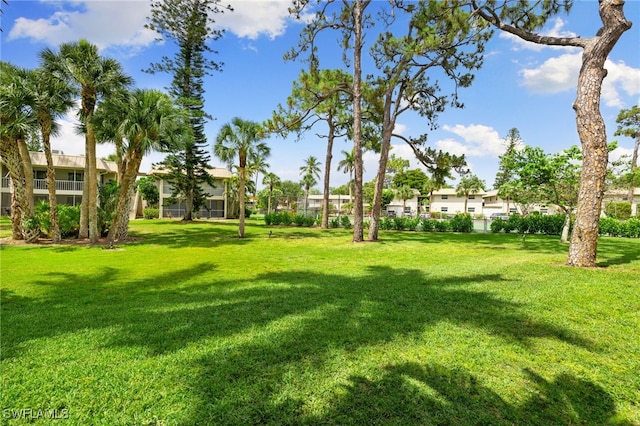1549 Sandpiper St Unit 39, Naples, FL 34102 - view of green lawn featuring a residential view
