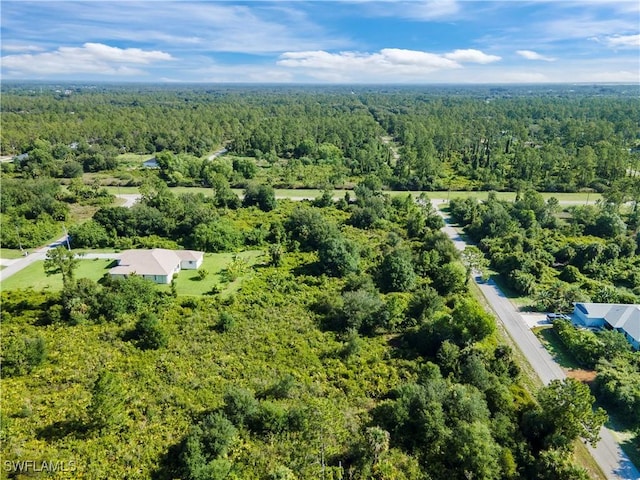 1119 Grant Ave, Lehigh Acres, FL 33972