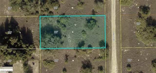 1617 Wells Ave, Lehigh Acres, FL 33972