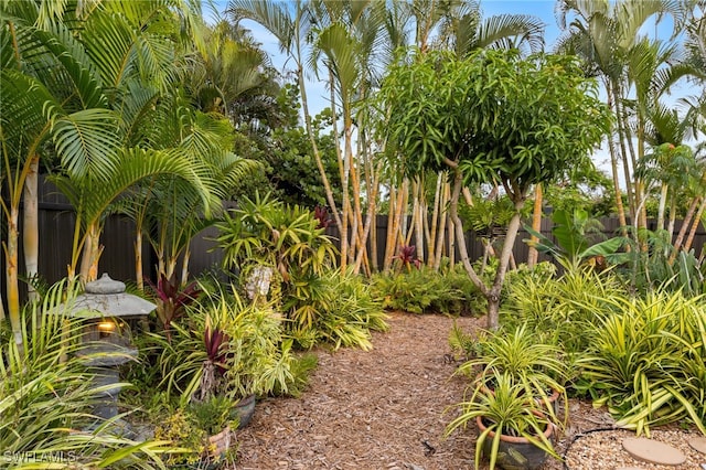 5631 Shaddelee Ln W, Fort Myers, FL 33919 - view of yard