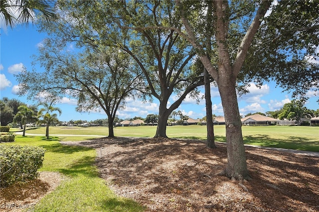 19741 Vintage Trace Cir, Estero, FL 33967 - view of community featuring a yard and a residential view