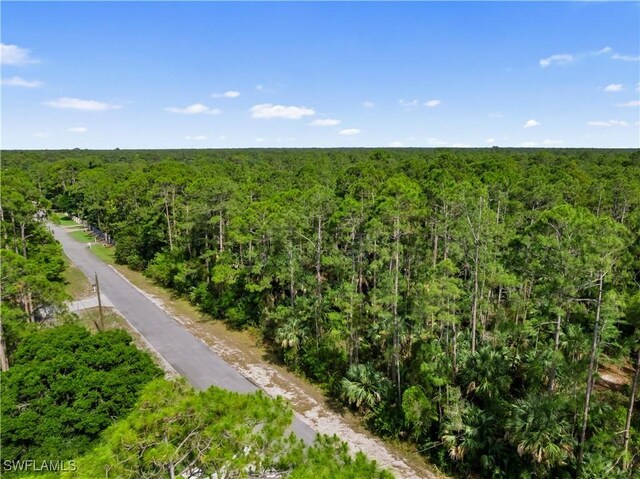 3rd Ave SW, Naples, FL 34117 - photo 8