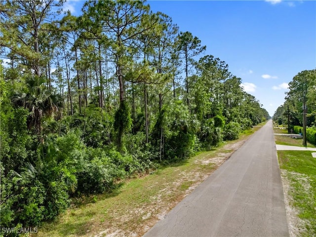 3rd Ave SW, Naples, FL 34117 - photo 6