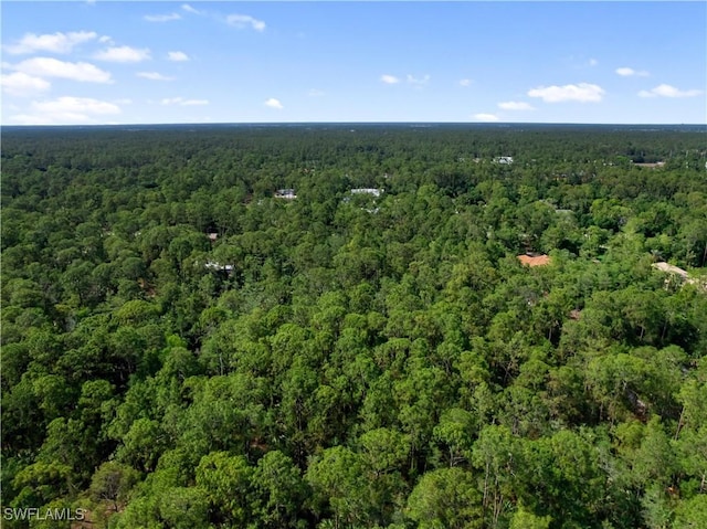 3rd Ave SW, Naples, FL 34117 - photo 13