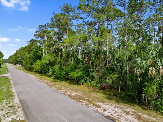3rd Ave SW, Naples, FL 34117 - photo 21