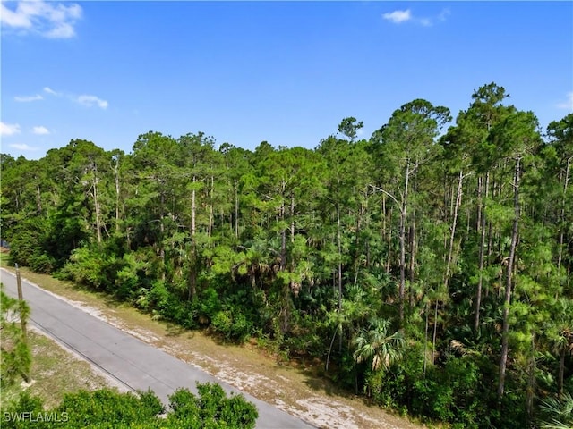 3rd Ave SW, Naples, FL 34117 - photo 22